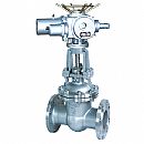 電站鑄鋼閥門(mén)